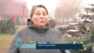 Infostudija 2015-12-22