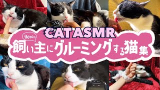 ASMRThe sound of a cat grooming its owner [BGM for restful sleep]