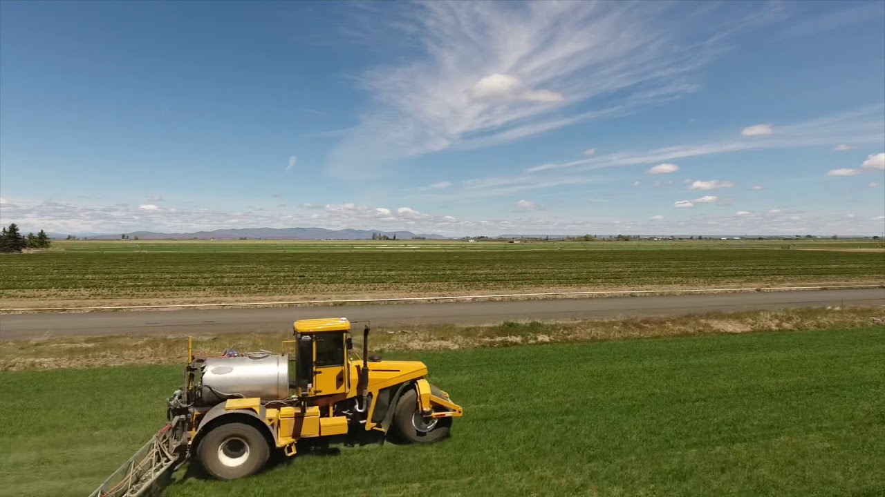 Oregon Farming - Grass Seed Drone Video