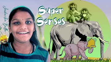 TRAILER_SUPER SENSES | NCERT SYLLABUS CLASS 5 EVS(LOOKING AROUND) CHAPTER-1