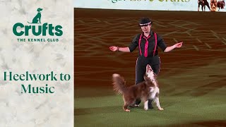 Heelwork To Music Winner | Crufts 2024