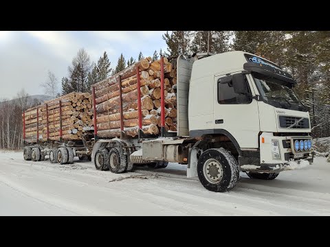 VOLVO лесовоз. Первый снег в лесу.