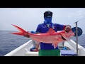 Deep Sea Fisheries and Research in Belize
