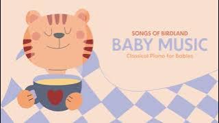 Classical Piano Songs for Babies 🎶❣️BABY MUSIC❣️🎶 Mozart, Schubert...