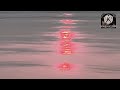 New Hindi Song 2026 || Chand Sa Chehra 🌙 | Romantic Hindi Love Song 2026 ❤️ | 90s Feel 🎶New song