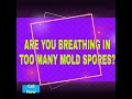 Black Mold Inspection & Testing New Tampa 813-358-4766 TampaBayMold.net