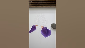Bearded Iris TUTORIAL in YouTube memberships