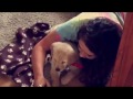 puppy surprise compilation NO:36