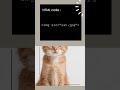 How to Resize Images Using Width & Height in HTML
