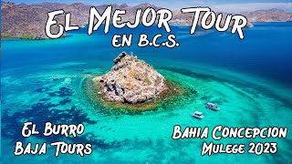 El Mejor Tour de B.C.S. está en Mulegé | Verano 2023 - El Burro Baja Tours