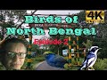 Birds of north bengal episode2