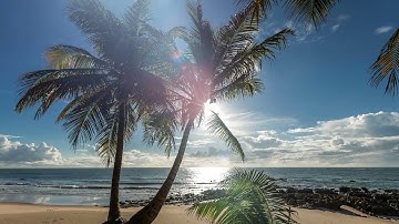 Fifth of May - Electronic | Dance | Pulsating Beats | Ambient D