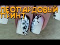 НАРАЩИВАНИЕ + КОРРЕКЦИЯ \ ЛЕОПАРДОВЫЙ ПРИНТ С ЦВЕТАМИ