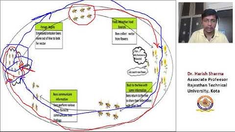 Artificial Bee Colony Algorithm