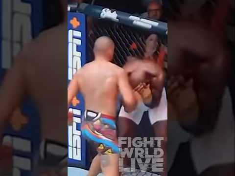 Alex Pereira STOPS