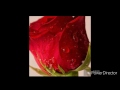 سميه حسن ما بحصل سميه حسن ما بحصل