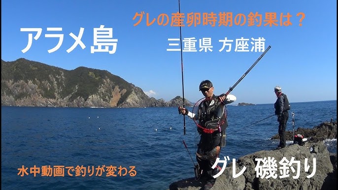 産卵時期のグレ釣り グレ釣り 磯釣り 水中動画で釣りが変わる 嶋プロ編 三重県方座浦 Youtube 産卵時期のグレ釣り グレ釣り 磯釣り 水中動画で釣りが変わる 嶋プロ編 三重県方座浦 Youtube