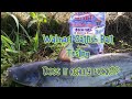 Walmart Catfish Bait Testing | Does it work or not??