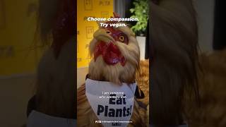 At the #GrammyGiftLounge, robo-chicken Hennifer Coolidge shared a powerful message 🐔