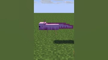 Axolotl VS Slime 😂 {Minecraft Animation}
