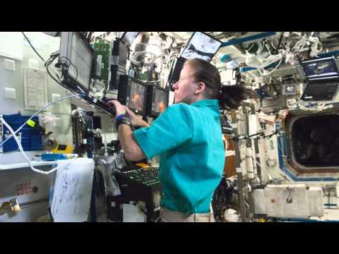 Expedition 24: Life in Space