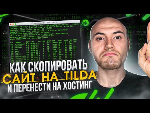 Как перенести сайт с Тильда на хостинг — Tilda Экспорт Кода
