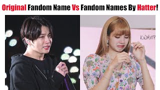 KPOP Group Original Fandom Name Vs Fandom Names By Haters!
