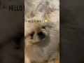 Omg there so cute 🥹🥰😄