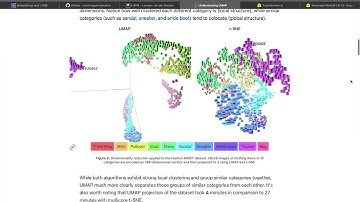Visualizing Vector Embeddings in 3D with transformers.js and t-SNE/UMAP