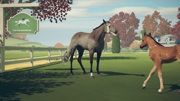 ✨ Wait.. I can do that better 😌 || Rival Stars Edit || Toast