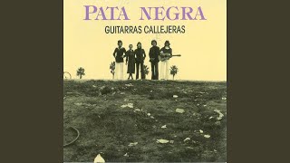 Video thumbnail of "Pata Negra - Juan Charrasqueado"