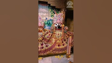 Thumbnail of ISKCON Vizag Darshan - 04.03.2024 #darshan #iskconvizag #radhadamodar