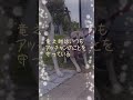 虐待され育った犬はこうなります・・涙#shorts