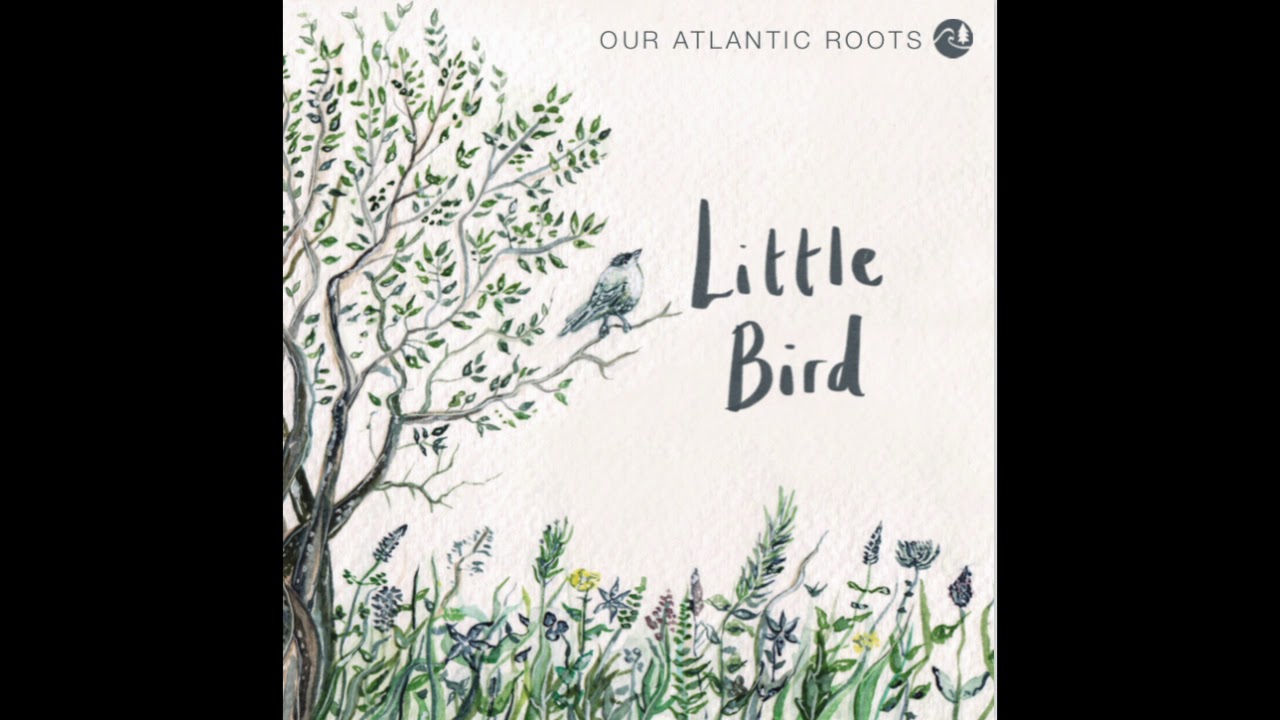 Little Bird (Official Single) Our Atlantic Roots YouTube