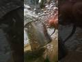 Закарпаття #закарпаття