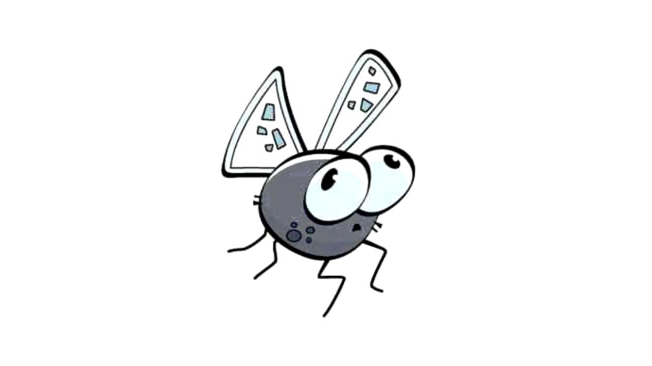Fly Sound Effect YouTube Fly Sound Effect YouTube