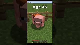 Minecraft 5 Age in Genius ( Ajr World's Smallest Violin ) #shorts