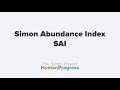 What is the Simon Abundance Index?