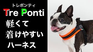 【トレポンティ】軽くて犬が嫌がらないおすすめのハーネスをご紹介！