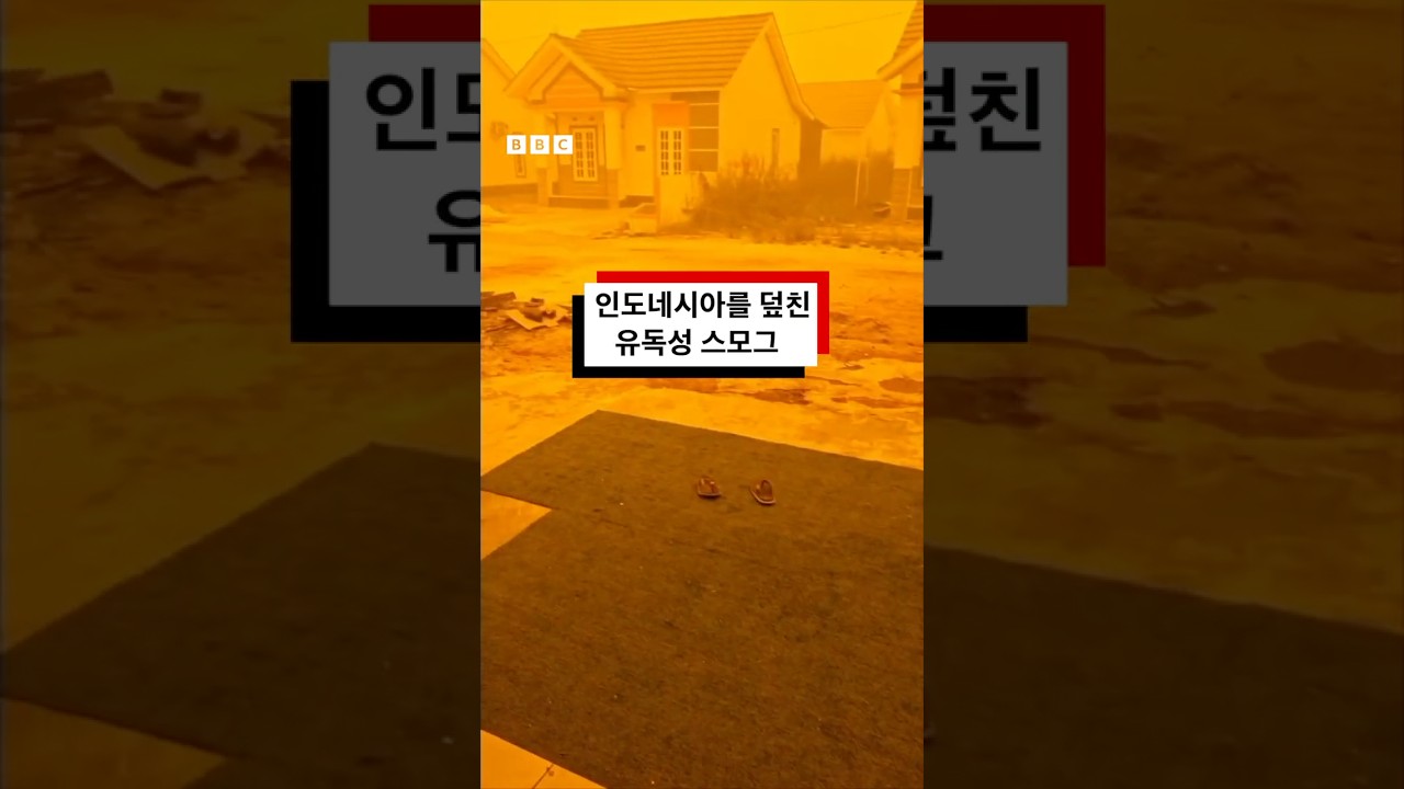 인도네시아 산불로 노랗게 물든 도시...대기오염 수치 '위험' 수준의 네 배 - BBC News 코리아