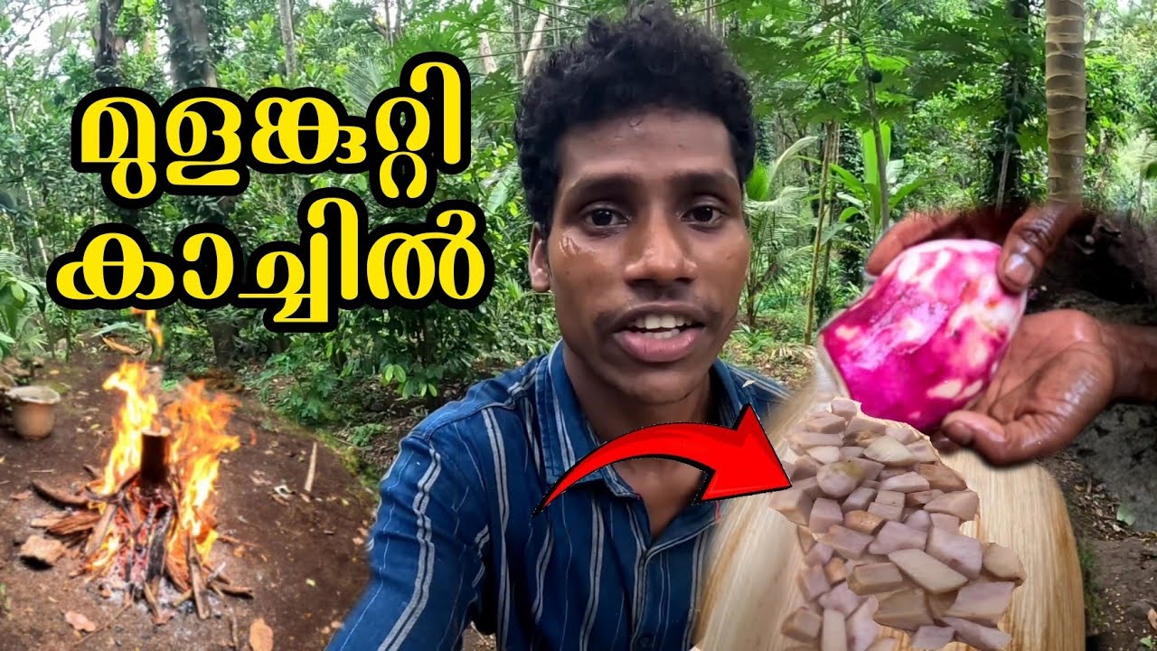 കാച്ചിൽ കിഴങ്ങ് മുളക്കുറ്റിയിൽ പുഴുങ്ങിയത്  |kachil kizhang recipe|