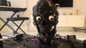 Humanoid Robot Eyes - Motion Testing