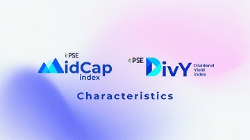 PSE MidCap and DivY Index - Characteristics