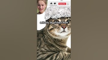 Tinfoil Hats Actually Work!