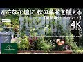 花壇づくり／疲れた夏花壇をリフレッシュ！小さな花壇に秋の草花を植える【秋のガーデニング】-フローラ黒田園芸- flower bed/ Autumn gardening 4K ULTRA HD