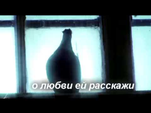 Тимур Темиров  Белый Голубь