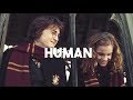 Harry and Hermione | Human