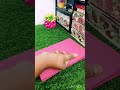 DIY diary ✨ #beautiful🥰 #shorts #video #viral #craft #beautiful ❤️