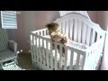 Baby's Escape Attempt from Crib Ends in Fall - As Seen on FailArmy