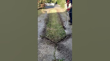 Sharp blades equal clean fades #shorts #lawncare #tools #gardening #satisfying #asmr